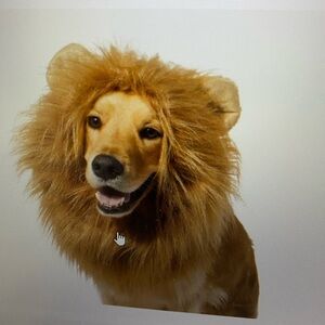 Furry Lion Mane Costume for Dogs - Brown